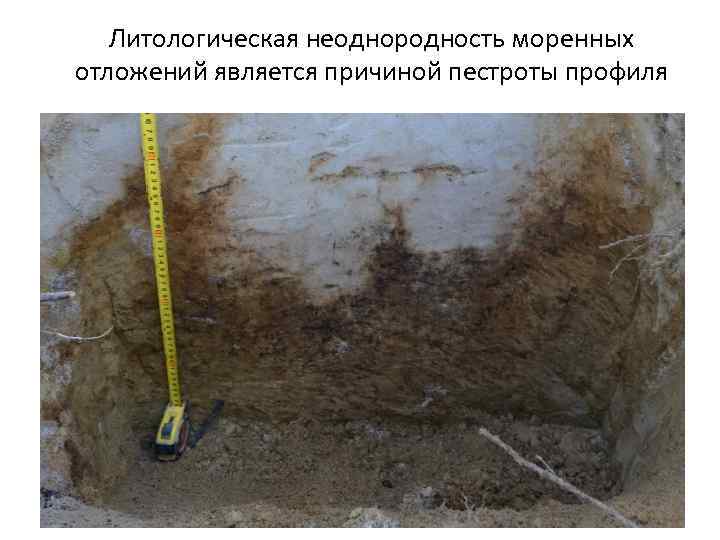 Литологическая неоднородность моренных отложений является причиной пестроты профиля 