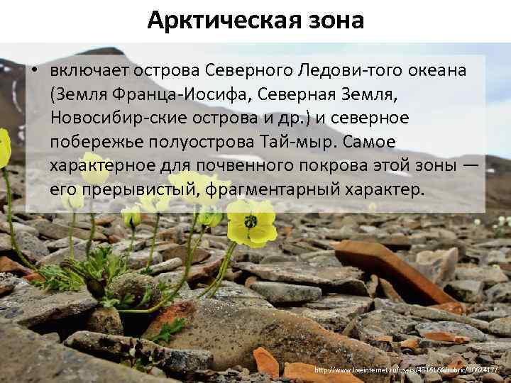 Арктическая зона • включает острова Северного Ледови того океана (Земля Франца Иосифа, Северная Земля,