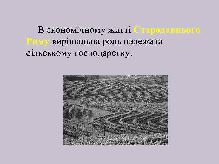 В економічному житті Стародавнього Риму вирішальна роль належала сільському господарству. 