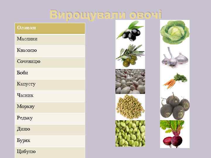 Вирощували овочі Оливки Маслини Квасолю Сочевицю Боби Капусту Часник Моркву Редьку Диню Буряк Цибулю