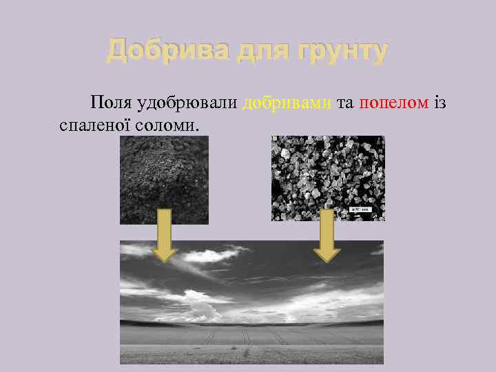 Добрива для грунту Поля удобрювали добривами та попелом із спаленої соломи. 