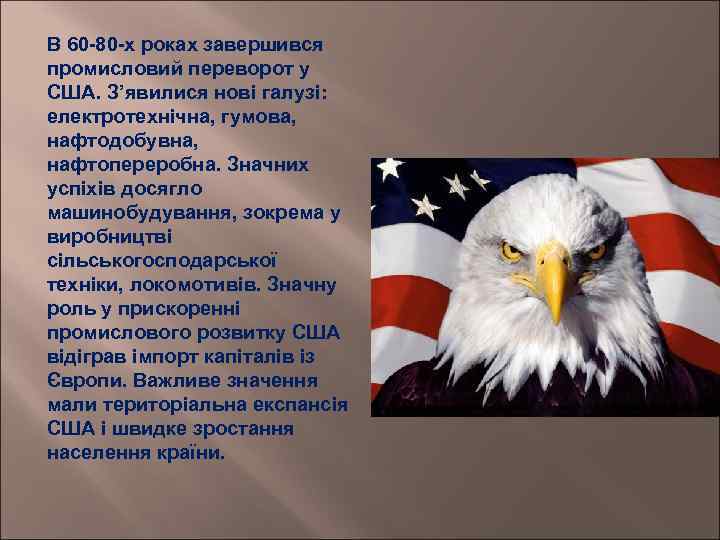 В 60 -80 -х роках завершився промисловий переворот у США. З’явилися нові галузі: електротехнічна,