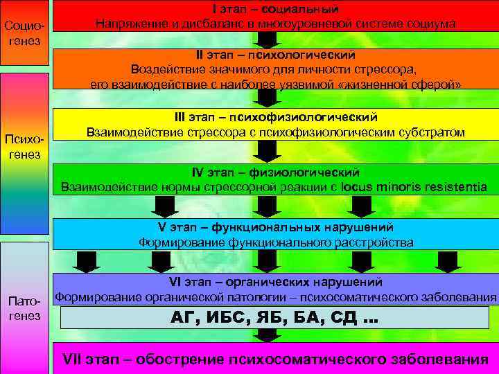 Социогенез І этап – социальный Напряжение и дисбаланс в многоуровневой системе социума ІІ этап