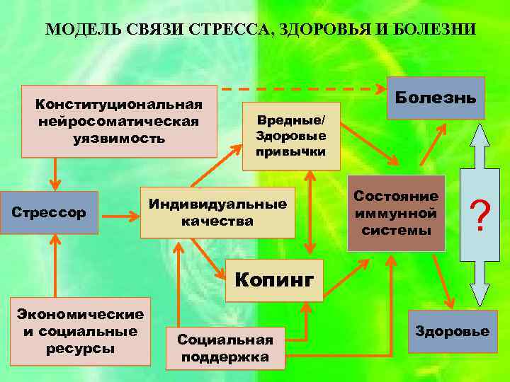 МОДЕЛЬ СВЯЗИ СТРЕССА, ЗДОРОВЬЯ И БОЛЕЗНИ Конституциональная нейросоматическая уязвимость Стрессор Болезнь Вредные/ Здоровые привычки
