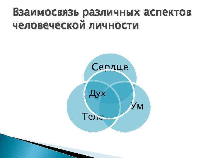 Взаимосвязь различных аспектов человеческой личности Сердце Дух Тело Ум 