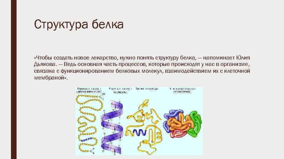 Структура белка «Чтобы создать новое лекарство, нужно понять структуру белка, — напоминает Юлия Дьякова.