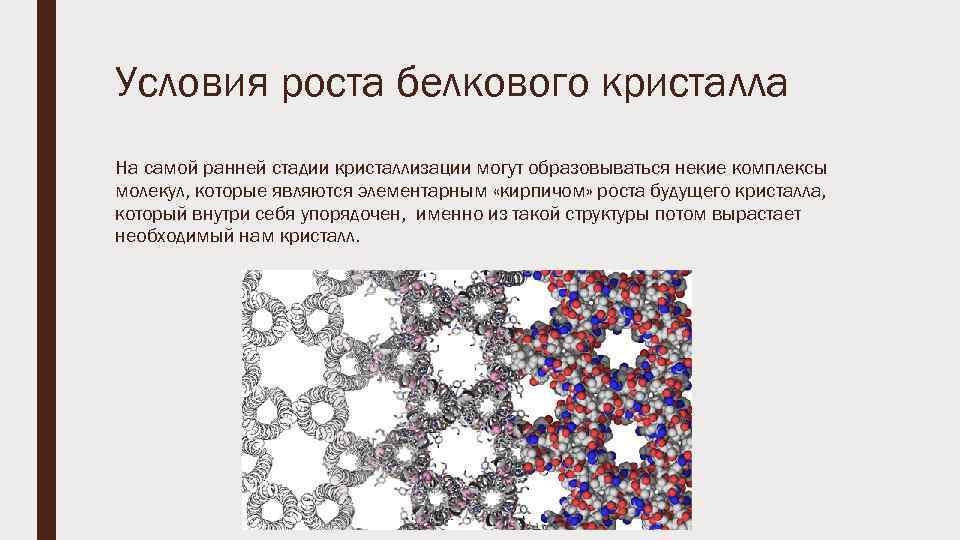 Условия роста белкового кристалла На самой ранней стадии кристаллизации могут образовываться некие комплексы молекул,