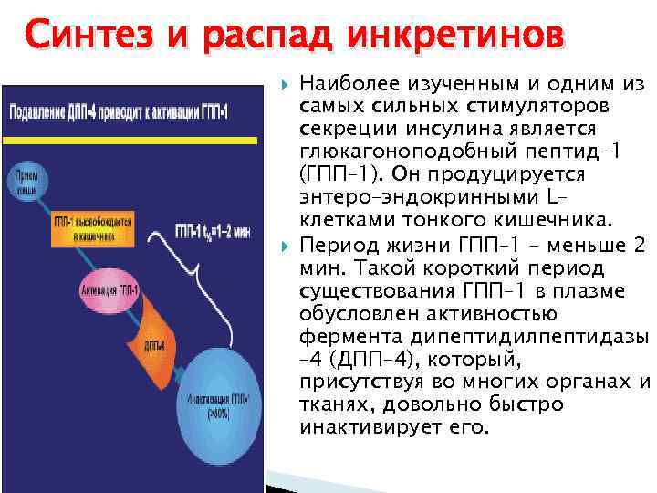 Самым сильным стимулятором выработки инсулина является