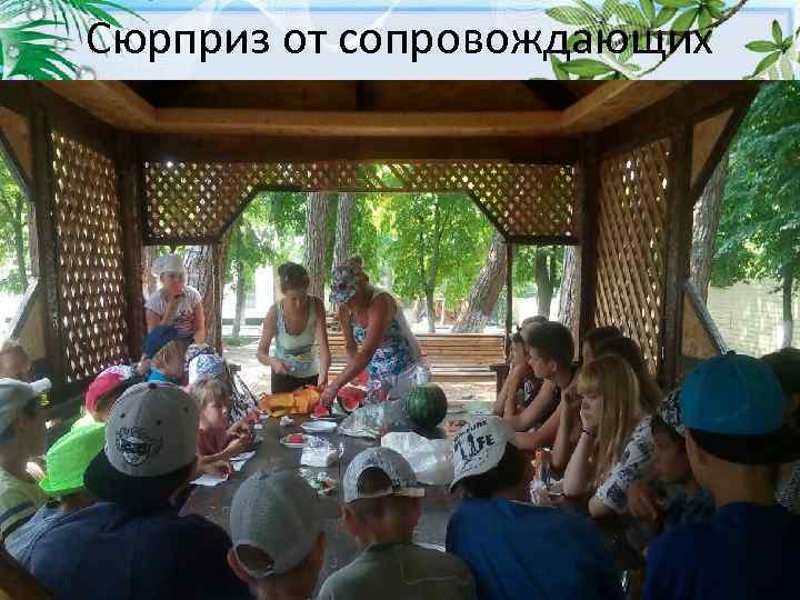 Сюрприз от сопровождающих 