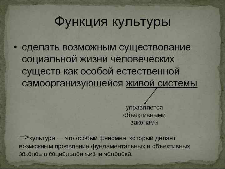 Функция культуры • сделать возможным существование социальной жизни человеческих существ как особой естественной самоорганизующейся
