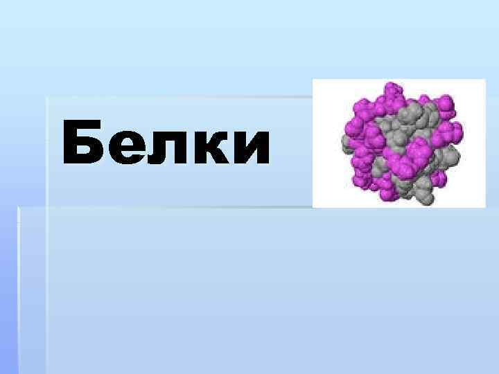 Белки 