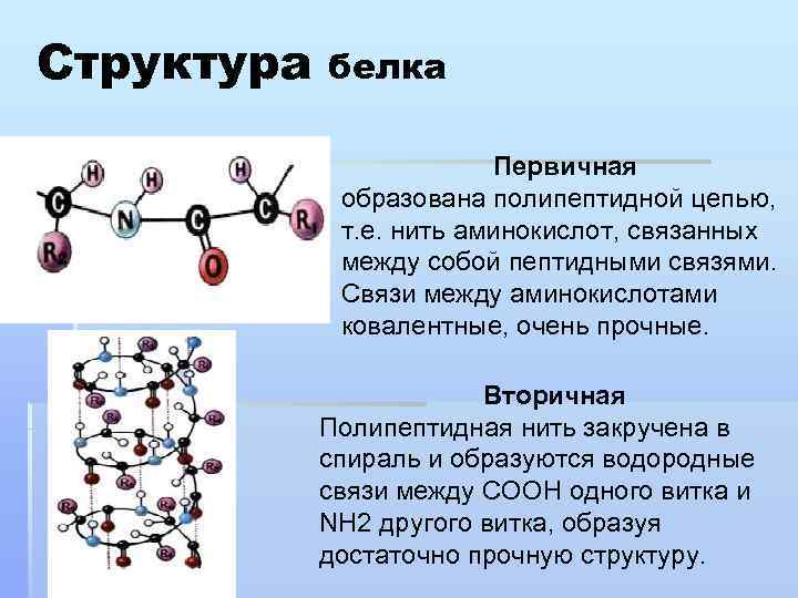 Определите аминокислотную последовательность полипептида