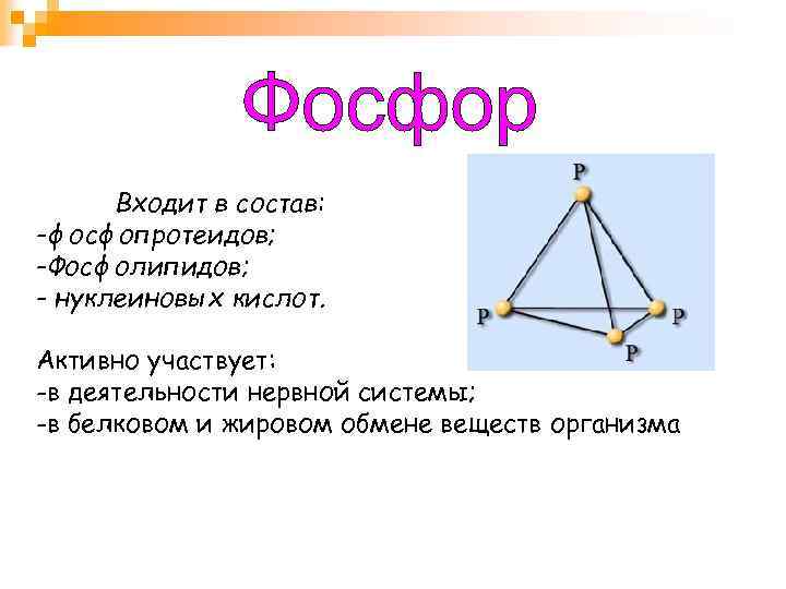 Входит в состав: -фосфопротеидов; -Фосфолипидов; - нуклеиновых кислот. Активно участвует: -в деятельности нервной системы;