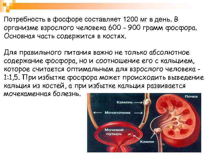 Потребность в фосфоре составляет 1200 мг в день. В организме взрослого человека 600 -