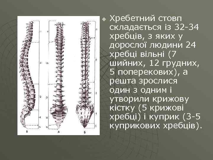 План применения опорных пунктов