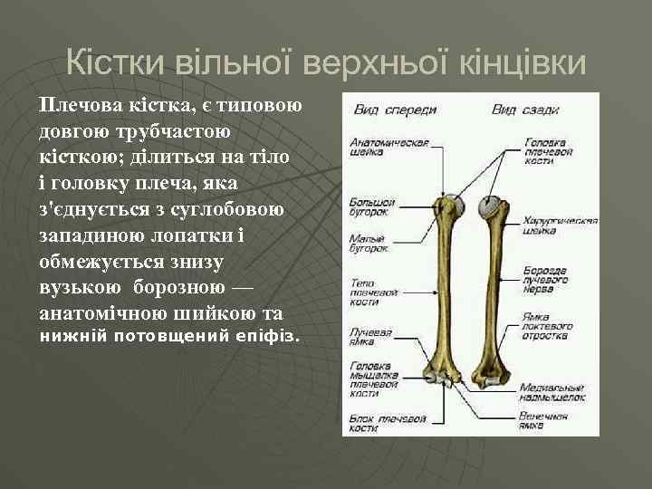 Опорно аналитический план