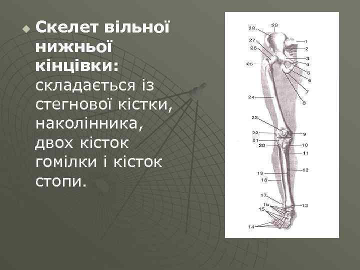 Опорно аналитический план