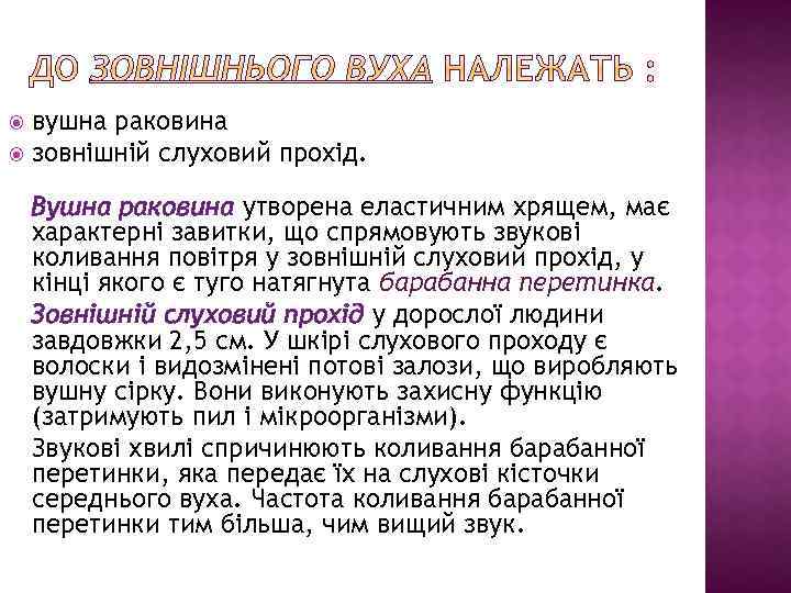 вушна раковина зовнішній слуховий прохід. Вушна раковина утворена еластичним хрящем, має характерні завитки, що