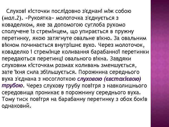  Слухові кісточки послідовно з'єднані між собою (мал. 2). «Рукоятка» молоточка з'єднується з коваделком,