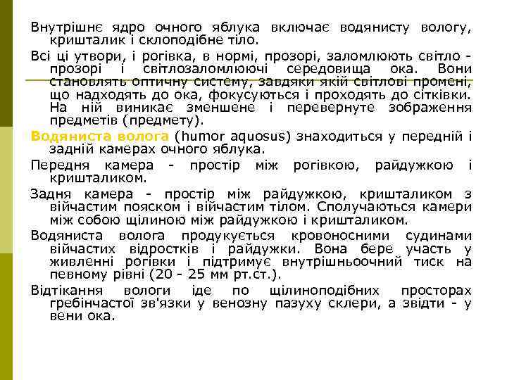 Внутрішнє ядро очного яблука включає водянисту вологу, кришталик і склоподібне тіло. Всі ці утвори,
