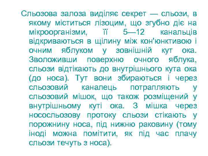 Сльозова залоза виділяє секрет — сльози, в якому міститься лізоцим, що згубно діє на