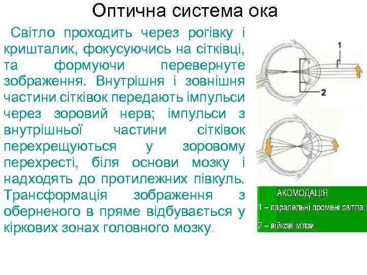 Как проехать через оку