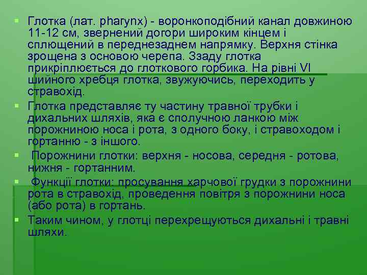 § Глотка (лат. pharynx) - воронкоподібний канал довжиною 11 -12 см, звернений догори широким
