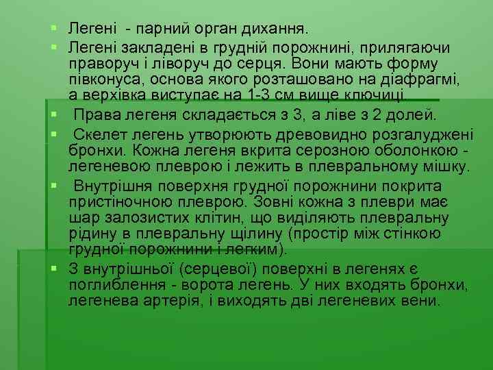 § Легені - парний орган дихання. § Легені закладені в грудній порожнині, прилягаючи праворуч