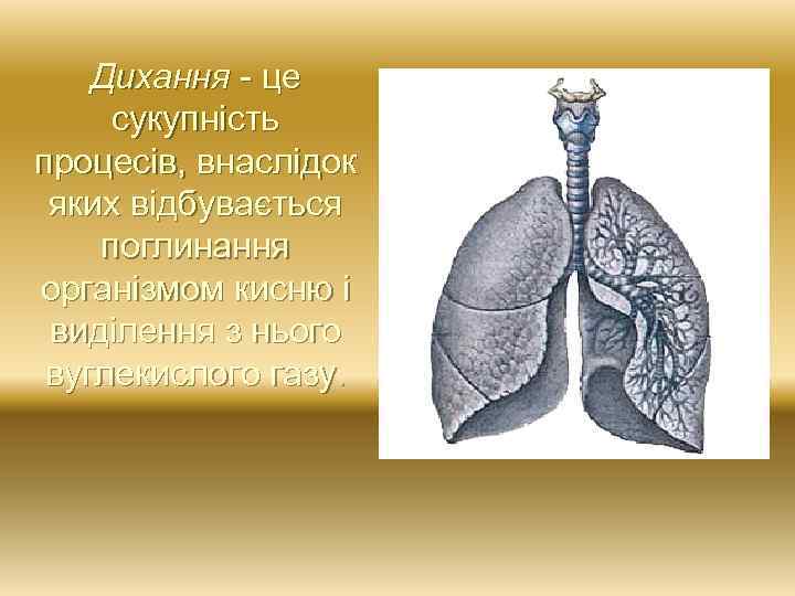 Дихання - це сукупність процесів, внаслідок яких відбувається поглинання організмом кисню і виділення з