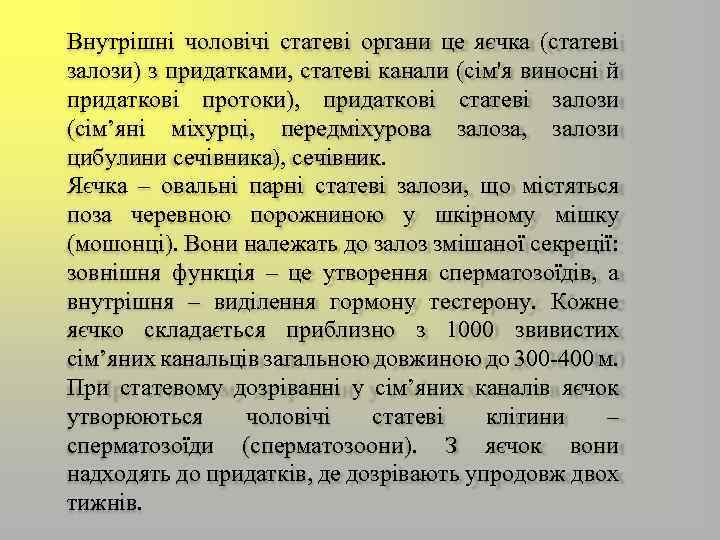 Внутрішні чоловічі статеві органи це яєчка (статеві залози) з придатками, статеві канали (сім'я виносні