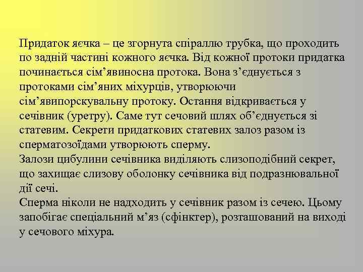 Придаток яєчка – це згорнута спіраллю трубка, що проходить по задній частині кожного яєчка.