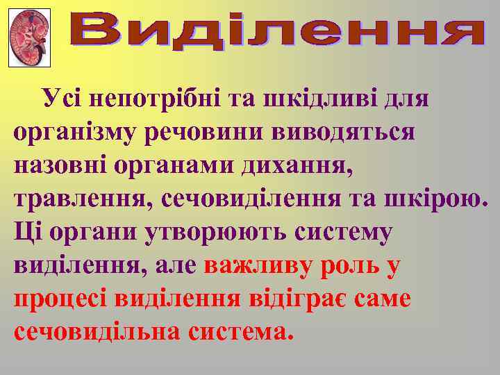 Усі непотрібні та шкідливі для організму речовини виводяться назовні органами дихання, травлення, сечовиділення та