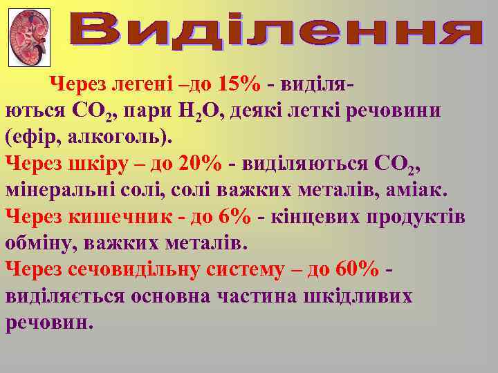 Через легені –до 15% - виділяються CO 2, пари Н 2 О, деякі леткі