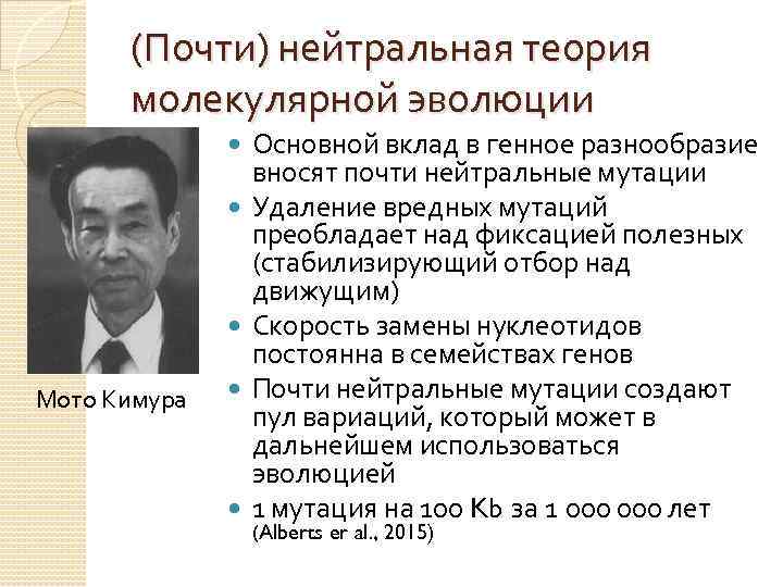 (Почти) нейтральная теория молекулярной эволюции Мото Кимура Основной вклад в генное разнообразие вносят почти