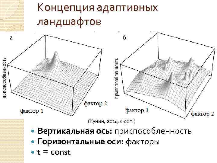 Концепция адаптивных ландшафтов (Кунин, 2014, с доп. ) Вертикальная ось: приспособленность Горизонтальные оси: факторы