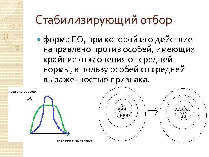 Стабилизирующий отбор форма ЕО, при которой его действие направлено против особей, имеющих крайние отклонения