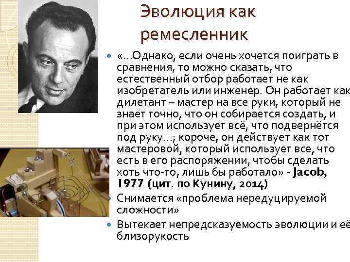 Эволюция как ремесленник «…Однако, если очень хочется поиграть в сравнения, то можно сказать, что