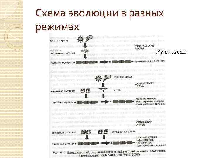 Схема эволюции в разных режимах (Кунин, 2014) 