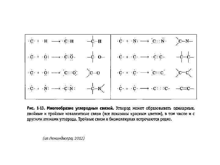 (из Ленинджера, 2012) 