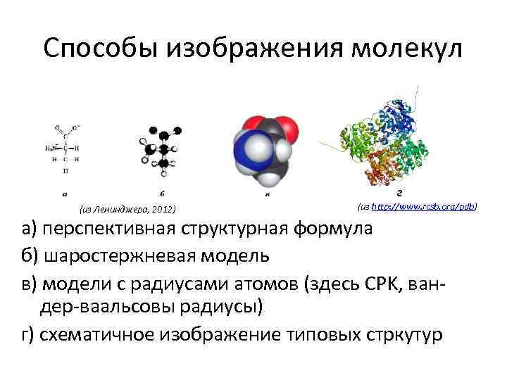 Способы изображения молекул г (из Ленинджера, 2012) (из http: //www. rcsb. org/pdb) а) перспективная