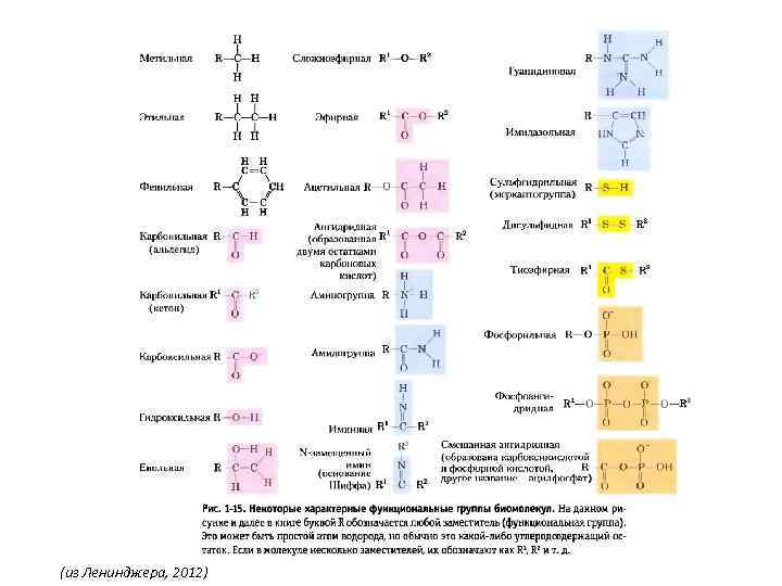 (из Ленинджера, 2012) 