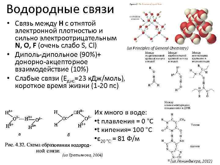 Водородные связи • Связь между H с отнятой электронной плотностью и сильно электроотрицательным N,