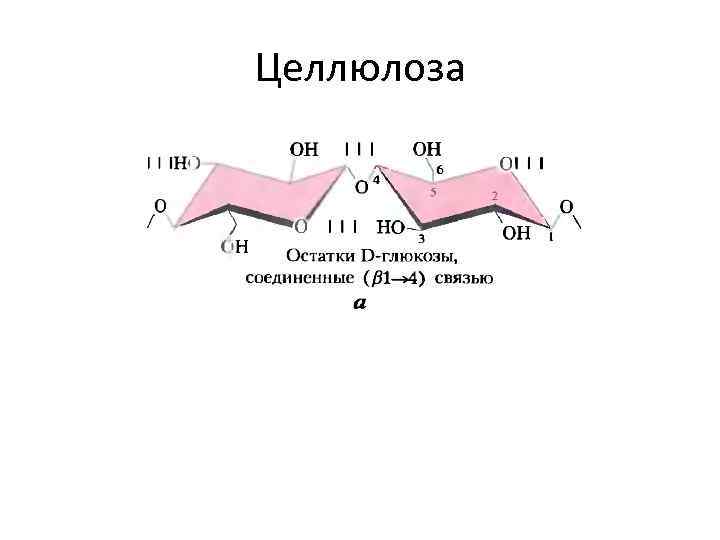 Целлюлоза 