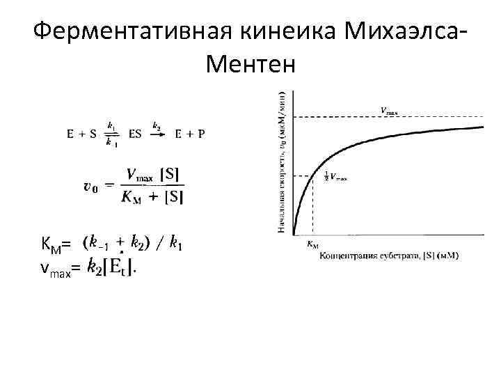 Ферментативная кинеика Михаэлса. Ментен KM= vmax= 