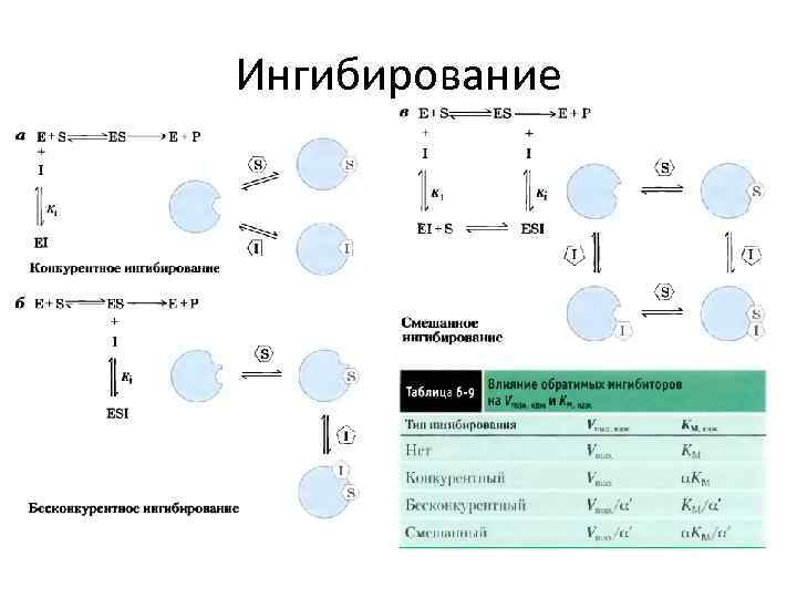 Ингибирование 