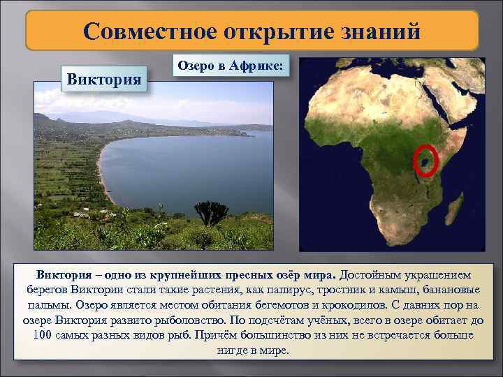 Совместное открытие знаний Виктория Озеро в Африке: Виктория – одно из крупнейших пресных озёр