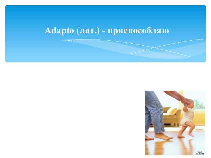 Аdapto (лат. ) - приспособляю Адаптация – это процесс приспособления работника к внешним и