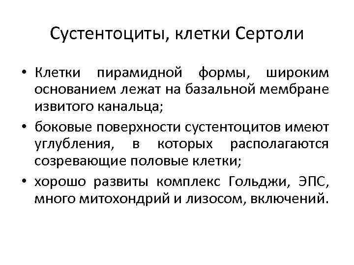 Сустентоциты, клетки Сертоли • Клетки пирамидной формы, широким основанием лежат на базальной мембране извитого