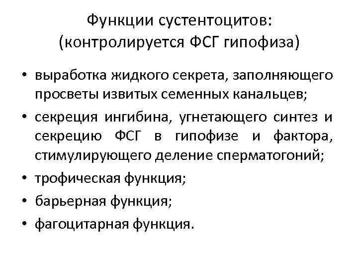 Функции сустентоцитов: (контролируется ФСГ гипофиза) • выработка жидкого секрета, заполняющего просветы извитых семенных канальцев;