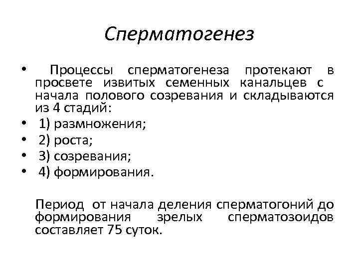 Сперматогенез • • • Процессы сперматогенеза протекают в просвете извитых семенных канальцев с начала